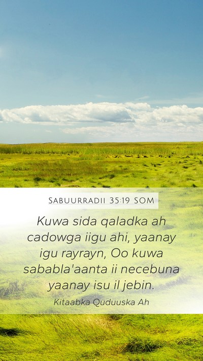 Sabuurradii 35:19 SOM Bible Verse Image