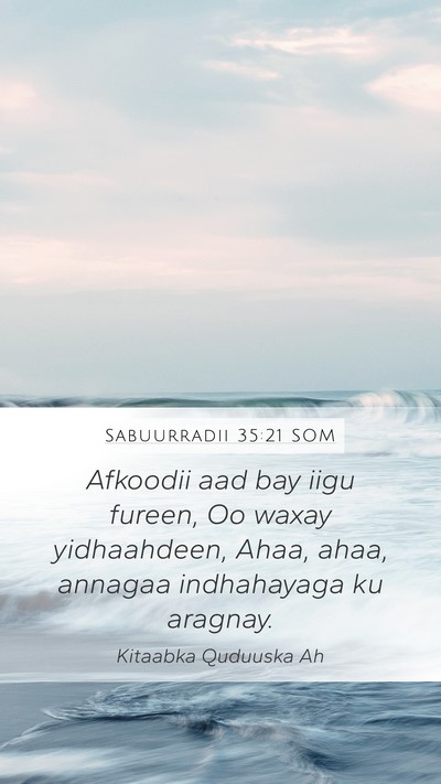 Sabuurradii 35:21 SOM Bible Verse Image
