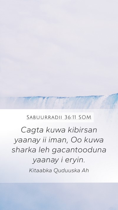 Sabuurradii 36:11 SOM Bible Verse Image