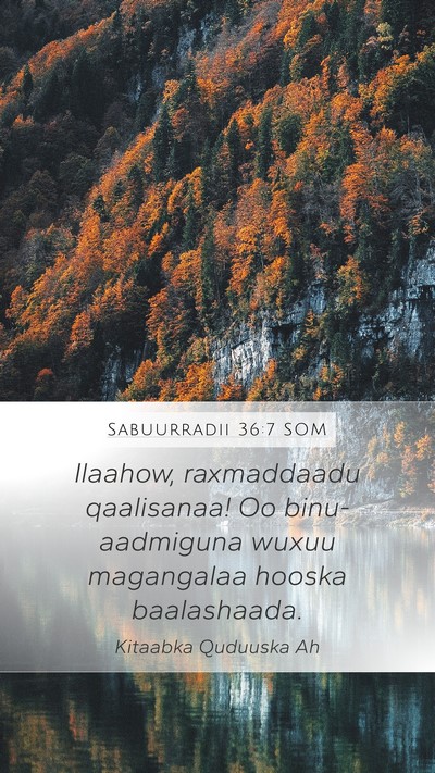Sabuurradii 36:7 SOM Bible Verse Image