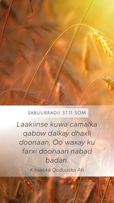 Sabuurradii 37:11 SOM Bible Verse Image