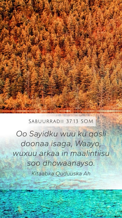 Sabuurradii 37:13 SOM Bible Verse Image