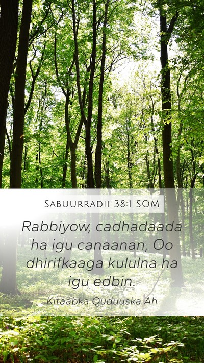 Sabuurradii 38:1 SOM Bible Verse Image