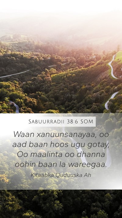 Sabuurradii 38:6 SOM Bible Verse Image