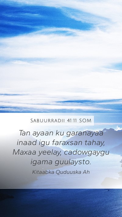 Sabuurradii 41:11 SOM Bible Verse Image