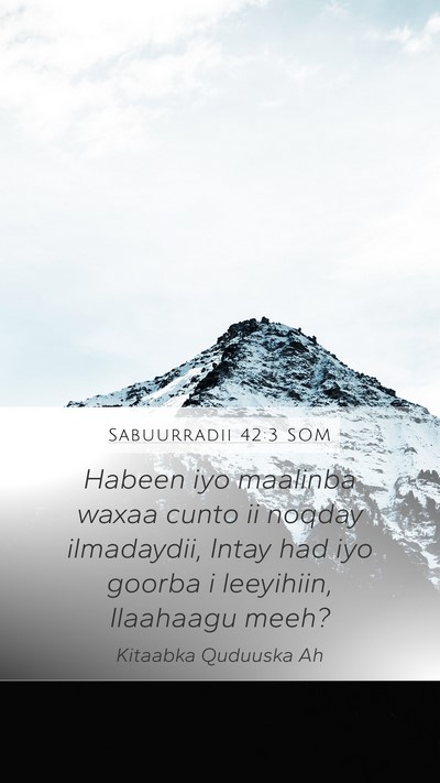 Sabuurradii 42:3 SOM Bible Verse Image