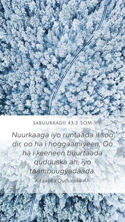 Sabuurradii 43:3 SOM Bible Verse Image