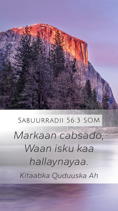 Sabuurradii 56:3 SOM Bible Verse Image