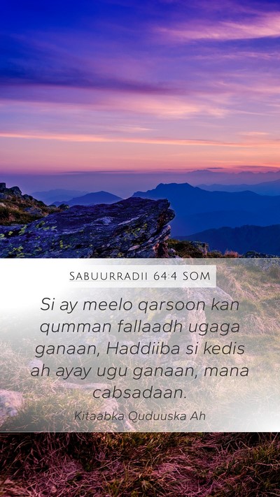 Sabuurradii 64:4 SOM Bible Verse Image
