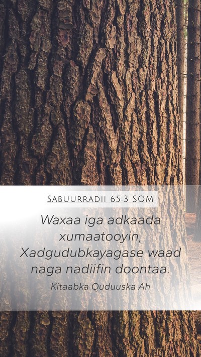 Sabuurradii 65:3 SOM Mobile Phone Wallpaper - Waxaa iga adkaada xumaatooyin, Xadgudubkayagase - Mobile Bible Verse Wallpaper