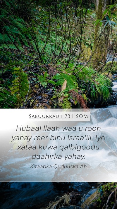 Sabuurradii 73:1 SOM Mobile Phone Wallpaper - Hubaal Ilaah waa u roon yahay reer binu - Mobile Bible Verse Wallpaper