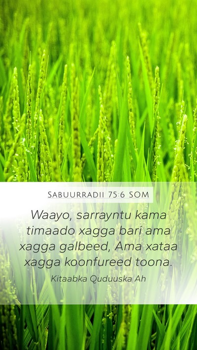 Sabuurradii 75:6 SOM Bible Verse Image