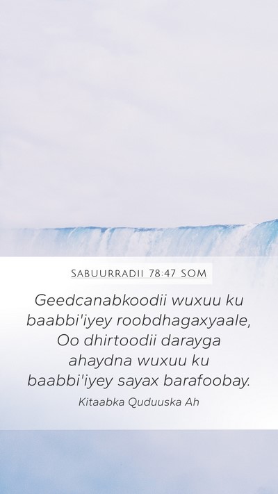 Sabuurradii 78:47 SOM Bible Verse Image