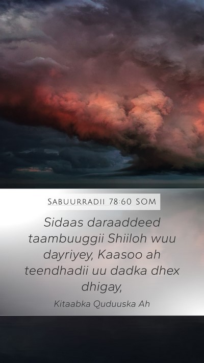 Sabuurradii 78:60 SOM Bible Verse Image