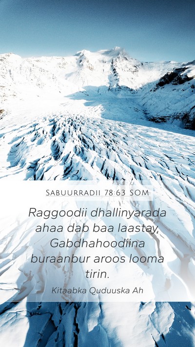 Sabuurradii 78:63 SOM Mobile Phone Wallpaper - Raggoodii dhallinyarada ahaa dab baa laastay, - Mobile Bible Verse Wallpaper
