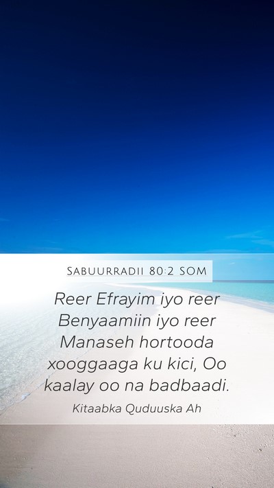Sabuurradii 80:2 SOM Bible Verse Image