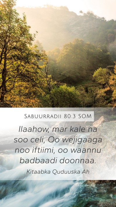 Sabuurradii 80:3 SOM Bible Verse Image