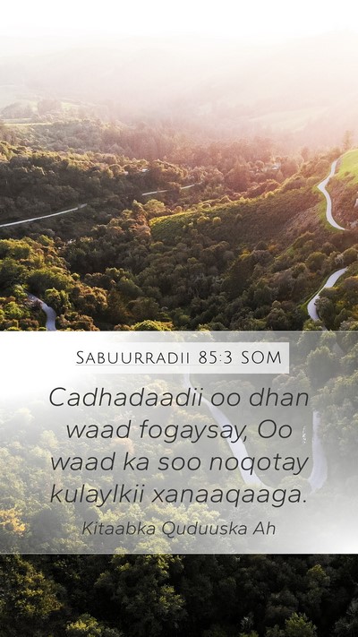 Sabuurradii 85:3 SOM Bible Verse Image