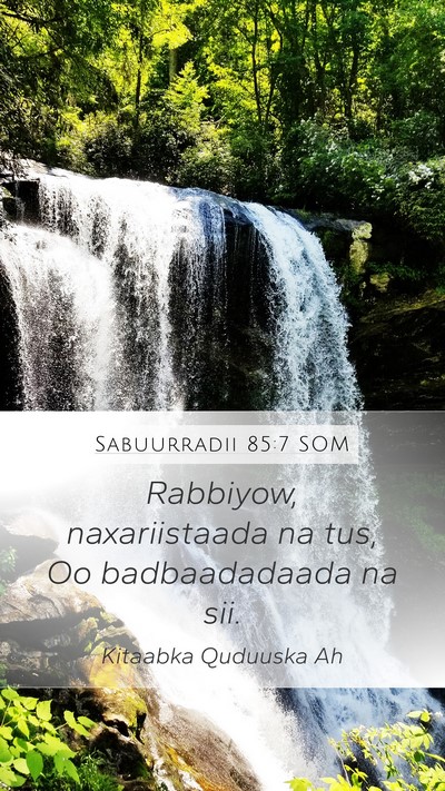Sabuurradii 85:7 SOM Mobile Phone Wallpaper - Rabbiyow, naxariistaada na tus, Oo badbaadadaada - Mobile Bible Verse Wallpaper