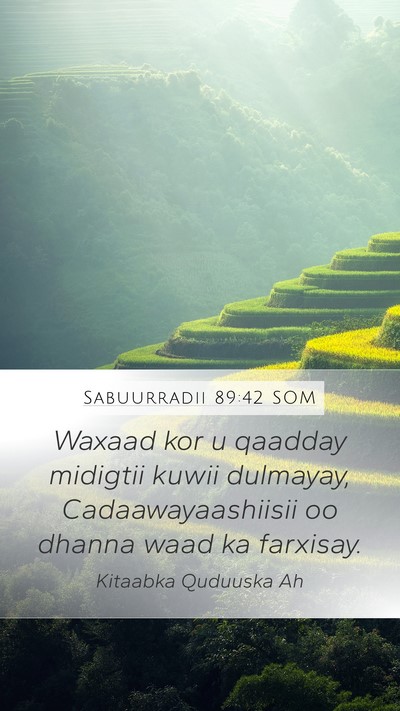 Sabuurradii 89:42 SOM Mobile Phone Wallpaper - Waxaad kor u qaadday midigtii kuwii dulmayay, - Mobile Bible Verse Wallpaper