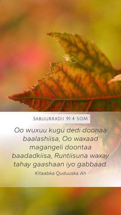 Sabuurradii 91:4 SOM Bible Verse Image