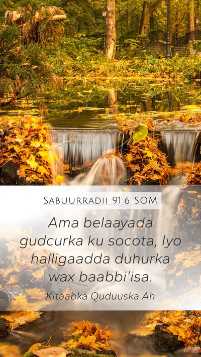 Sabuurradii 91:6 SOM Bible Verse Image