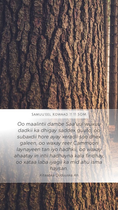 Samuu'eel Kowaad 11:11 SOM Bible Verse Image