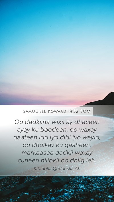 Samuu'eel Kowaad 14:32 SOM Bible Verse Image
