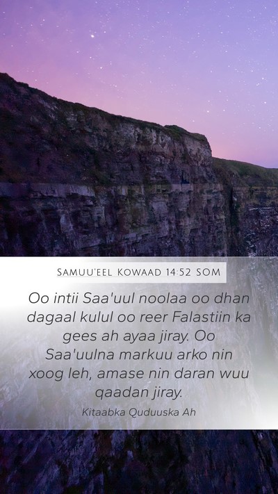 Samuu'eel Kowaad 14:52 SOM Bible Verse Image