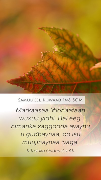 Samuu'eel Kowaad 14:8 SOM Bible Verse Image