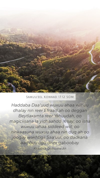 Samuu'eel Kowaad 17:12 SOM Bible Verse Image