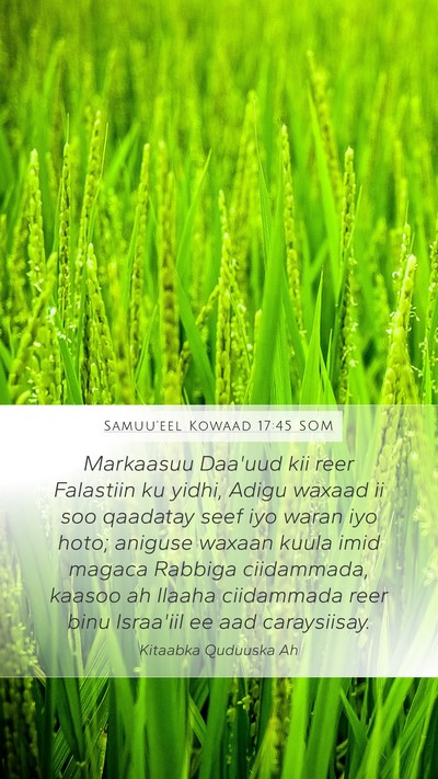 Samuu'eel Kowaad 17:45 SOM Bible Verse Image