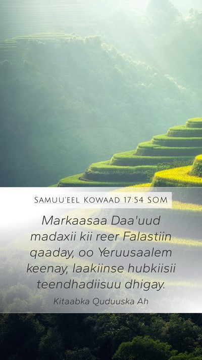 Samuu'eel Kowaad 17:54 SOM Bible Verse Image