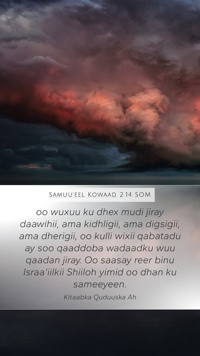 Samuu'eel Kowaad 2:14 SOM Mobile Phone Wallpaper - oo wuxuu ku dhex mudi jiray daawihii, ama - Mobile Bible Verse Wallpaper