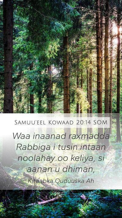 Samuu'eel Kowaad 20:14 SOM Bible Verse Image