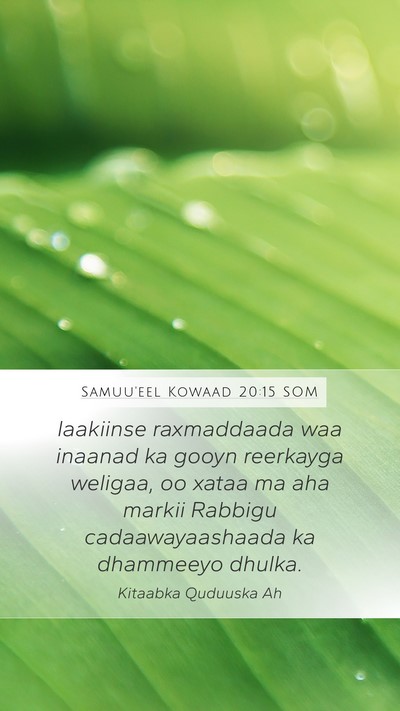 Samuu'eel Kowaad 20:15 SOM Mobile Phone Wallpaper - laakiinse raxmaddaada waa inaanad ka gooyn - Mobile Bible Verse Wallpaper