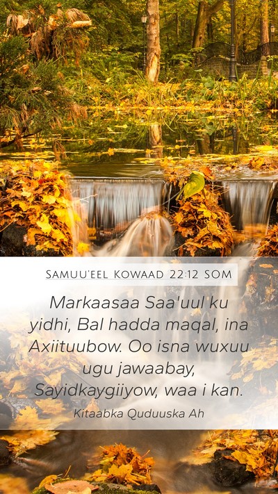 Samuu'eel Kowaad 22:12 SOM Bible Verse Image