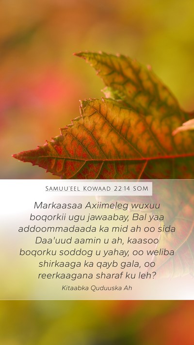 Samuu'eel Kowaad 22:14 SOM Bible Verse Image