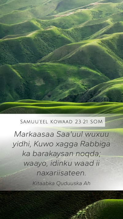 Samuu'eel Kowaad 23:21 SOM Bible Verse Image