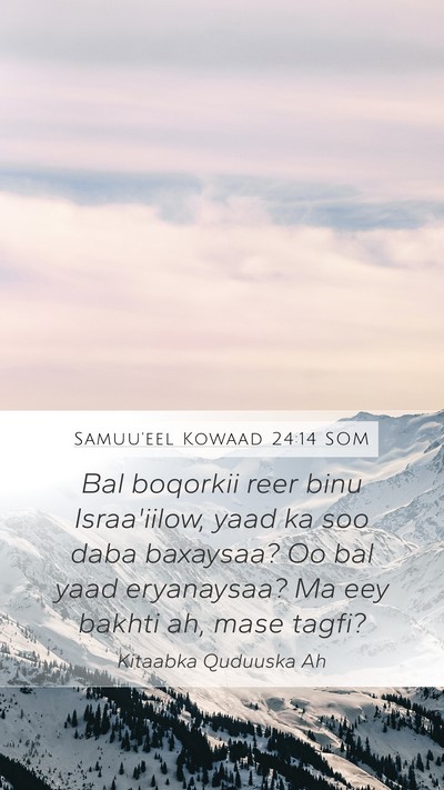 Samuu'eel Kowaad 24:14 SOM Bible Verse Image