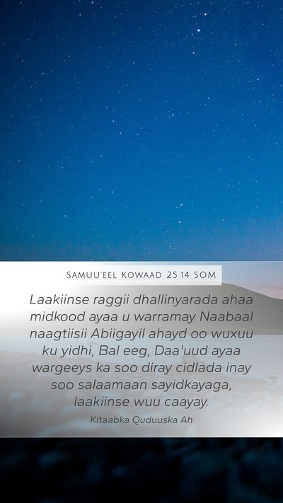 Samuu'eel Kowaad 25:14 SOM Mobile Phone Wallpaper - Laakiinse raggii dhallinyarada ahaa midkood ayaa - Mobile Bible Verse Wallpaper