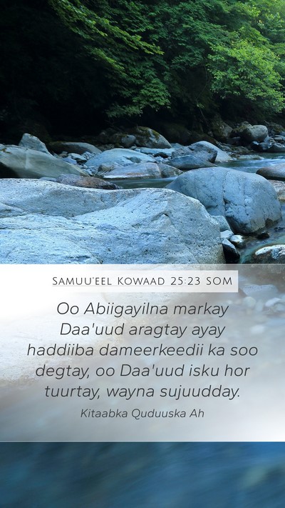Samuu'eel Kowaad 25:23 SOM Bible Verse Image