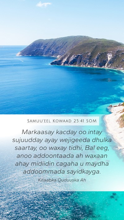 Samuu'eel Kowaad 25:41 SOM Bible Verse Image