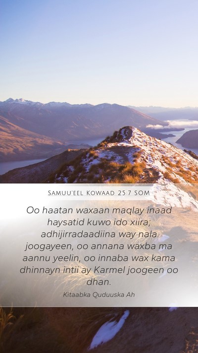 Samuu'eel Kowaad 25:7 SOM Bible Verse Image