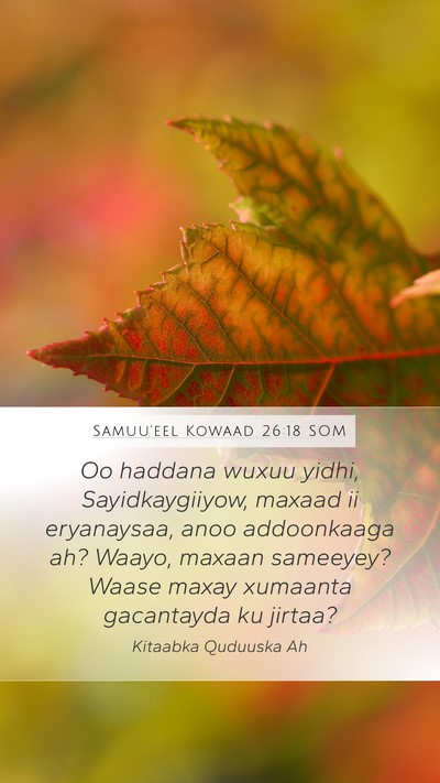 Samuu'eel Kowaad 26:18 SOM Bible Verse Image