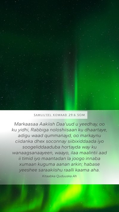 Samuu'eel Kowaad 29:6 SOM Bible Verse Image