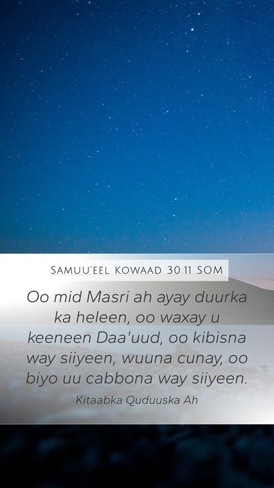 Samuu'eel Kowaad 30:11 SOM Bible Verse Image
