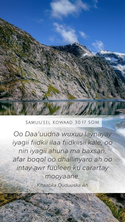Samuu'eel Kowaad 30:17 SOM Bible Verse Image