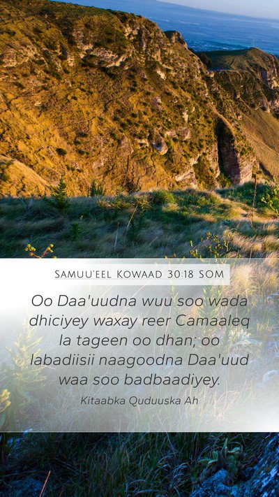 Samuu'eel Kowaad 30:18 SOM Bible Verse Image