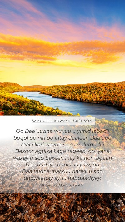 Samuu'eel Kowaad 30:21 SOM Bible Verse Image